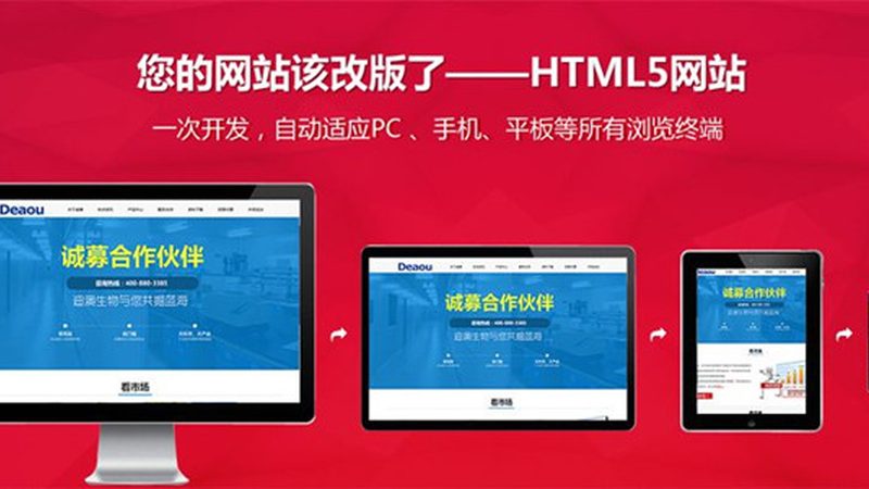 门户网站定制开发哪家好
