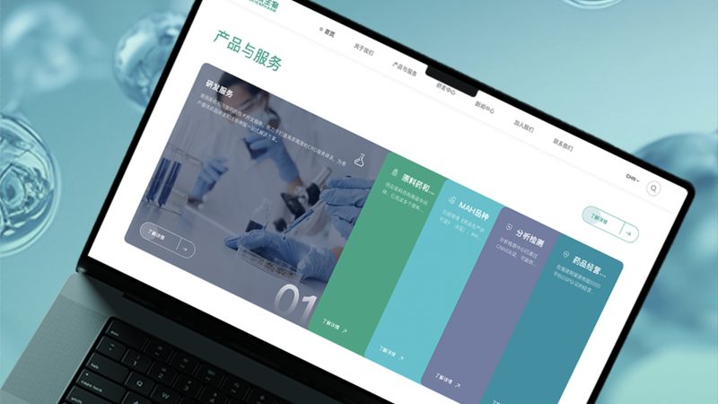 上市集团网站建设，价格背后的考量因素