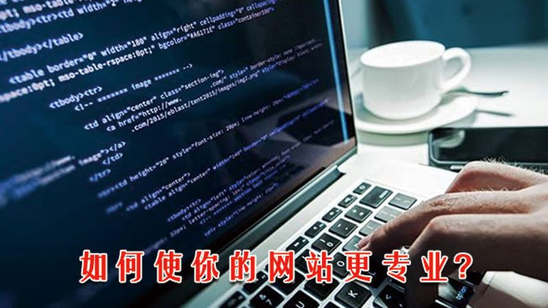 网站开发语言选择：揭秘开发周期背后的关键因素